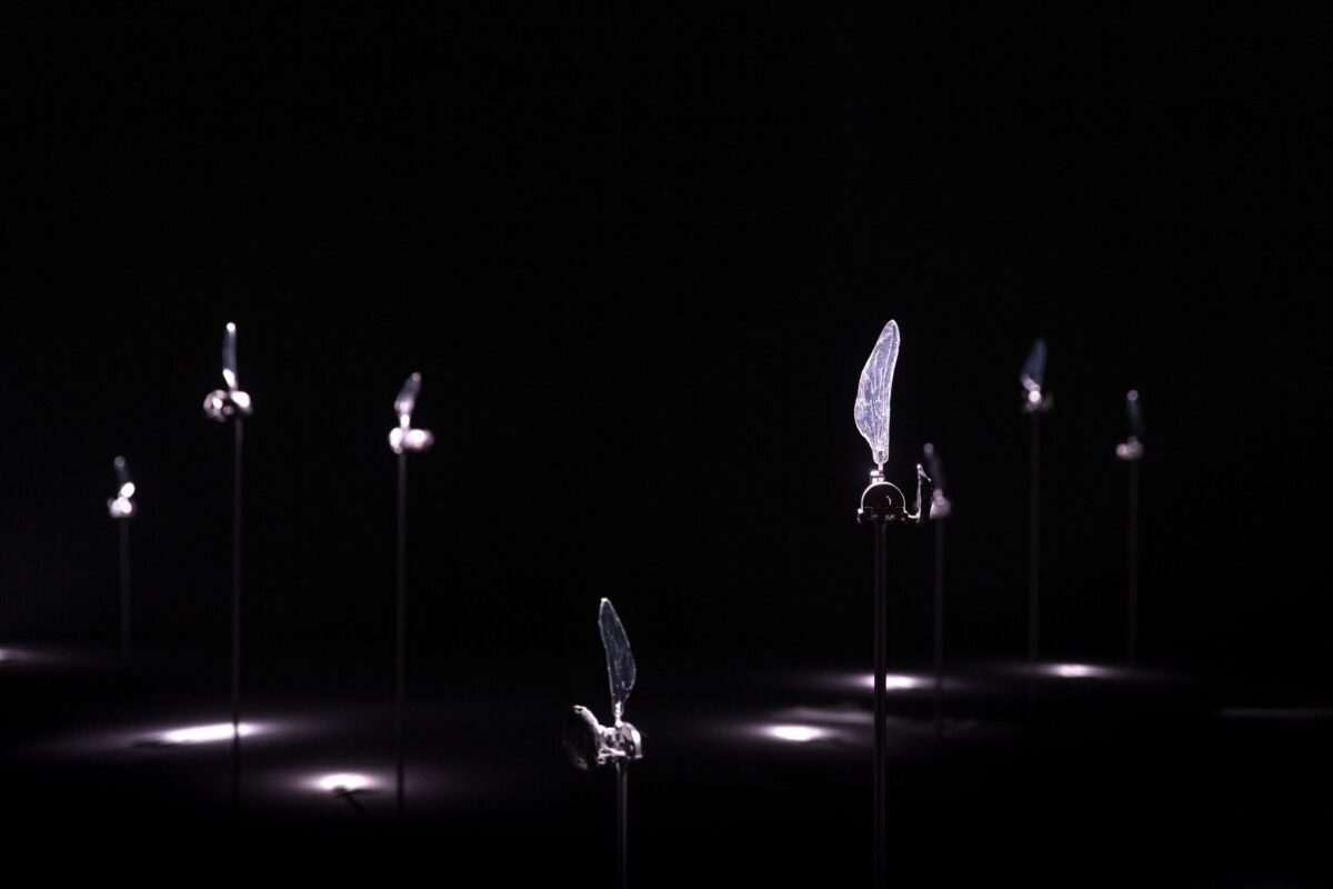 2021臺北獎首獎林彥君個展   循聲趨近夢迴之境