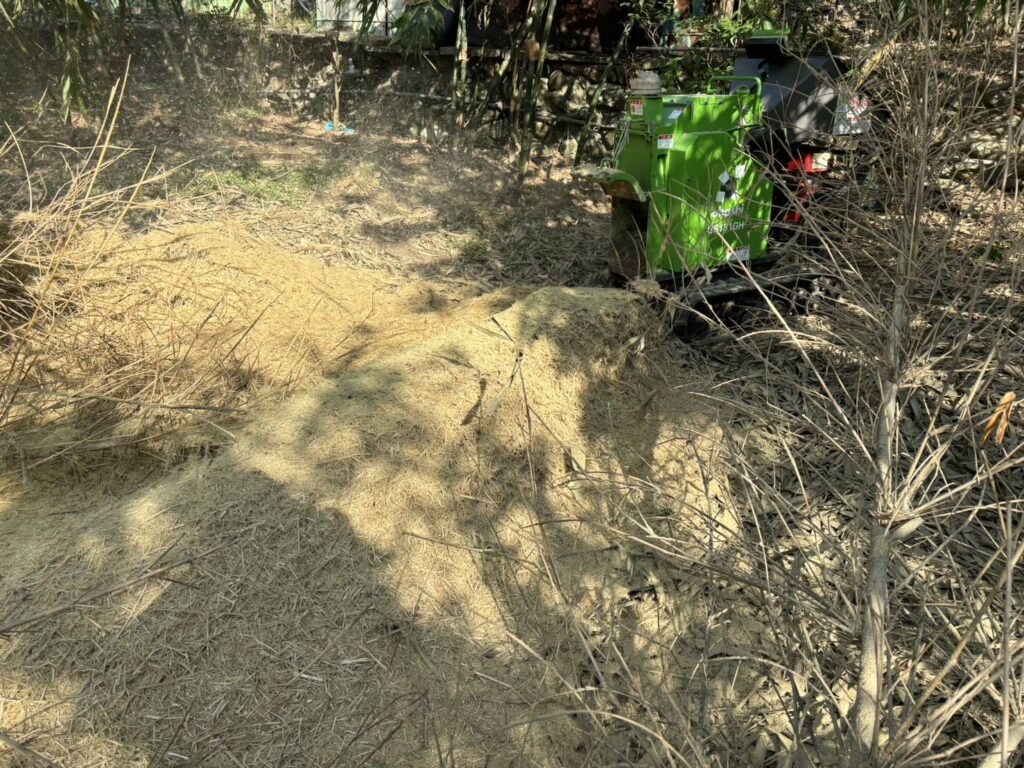 ▲廢棄老竹再利用的結果讓綠竹筍的栽種與收獲更具全面性。(圖/新北市農業局 提供)
