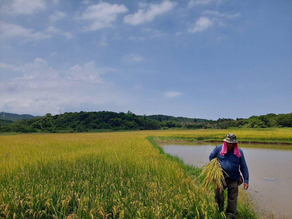 ▲除了土壤碳匯外,新北市的山海造林也號召民間團體共同響應。(圖/新北市農業局 提供)