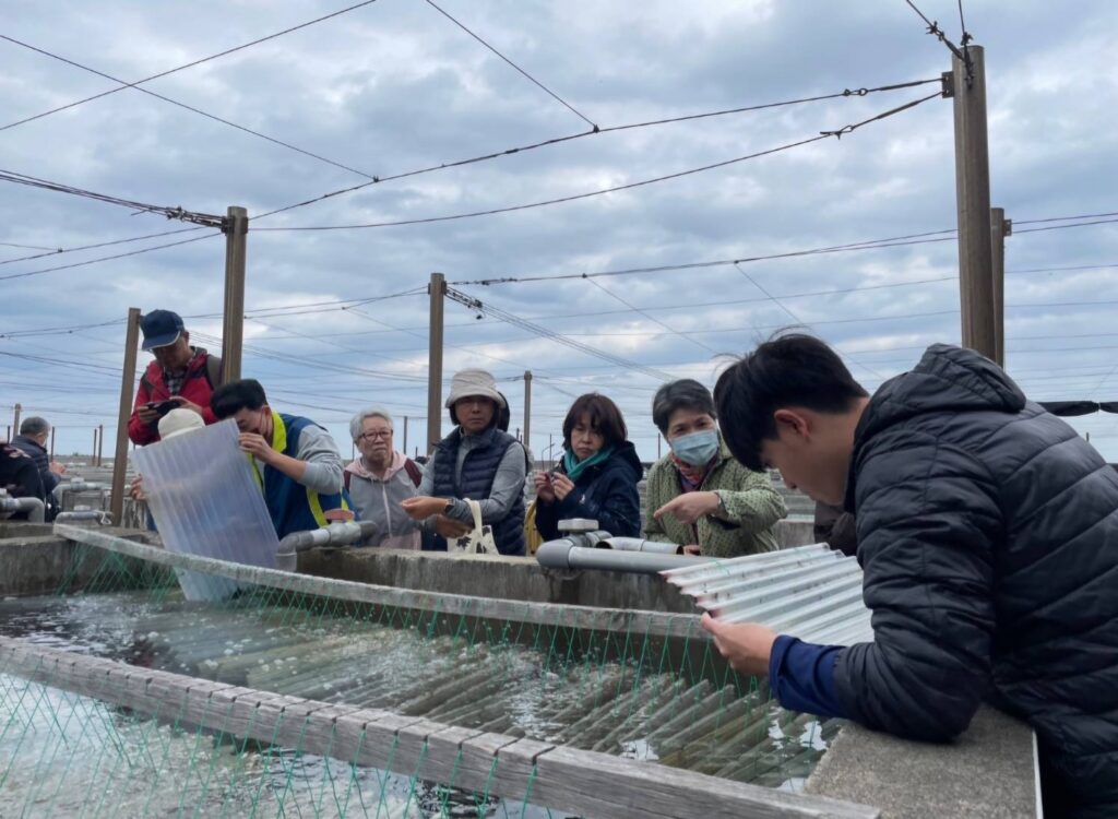 ▲民眾到貢寮海洋復育園區近距離觀察九孔寶寶。（圖/新北市漁業處 提供）