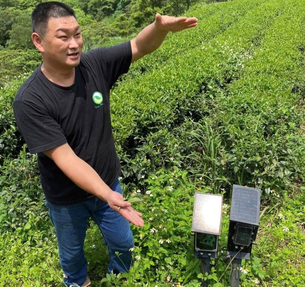 ▲新北市茶農蔡旭志以科技管理榮獲全國模範農民殊榮。（圖/新北市農業局 提供）