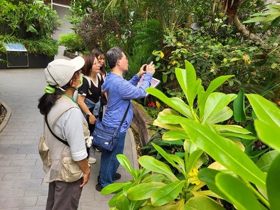 打造植感生活   紓壓療癒身心   典藏植物園植物手作課程搶手