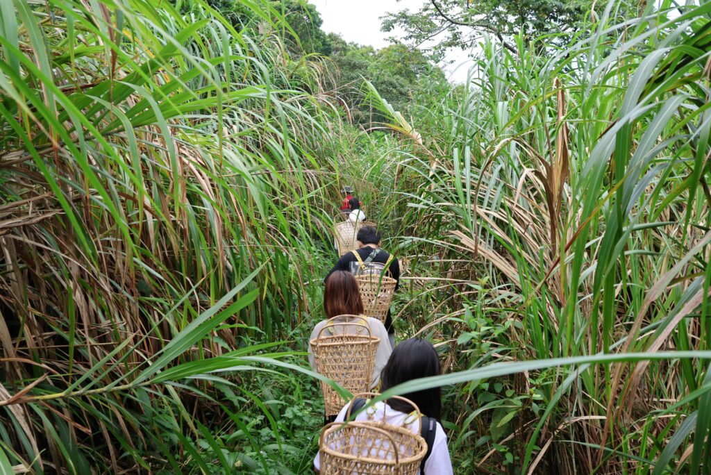 位於花蓮磯崎的高山森林基地，隱匿於山與海交匯地帶，擁有無與倫比的自然美景。 （圖/工藝中心提供）