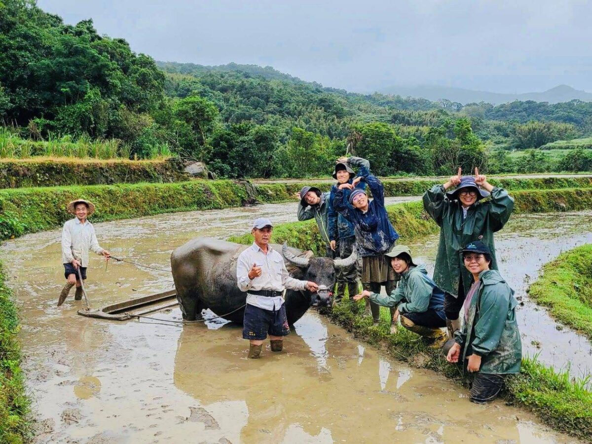 文化部114年青年村落文化行動計畫   獲獎名單出爐