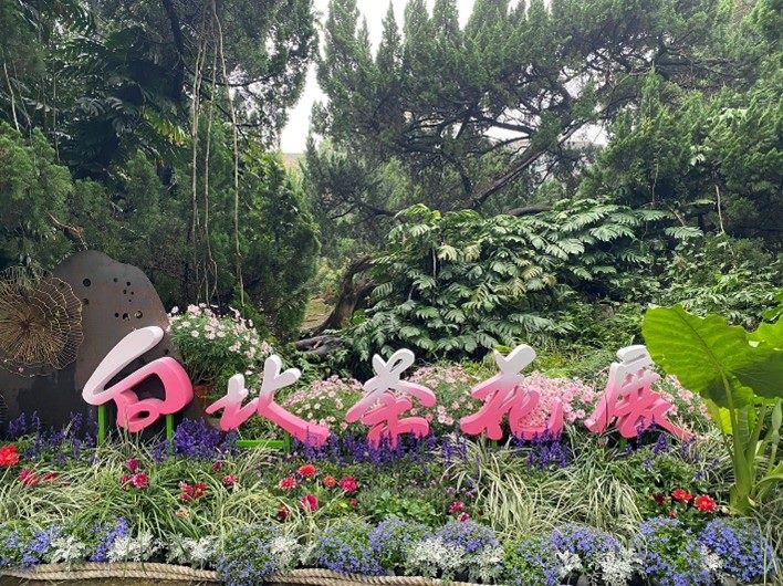 台北茶花展1/10登場  510藝術群畫作添丰采