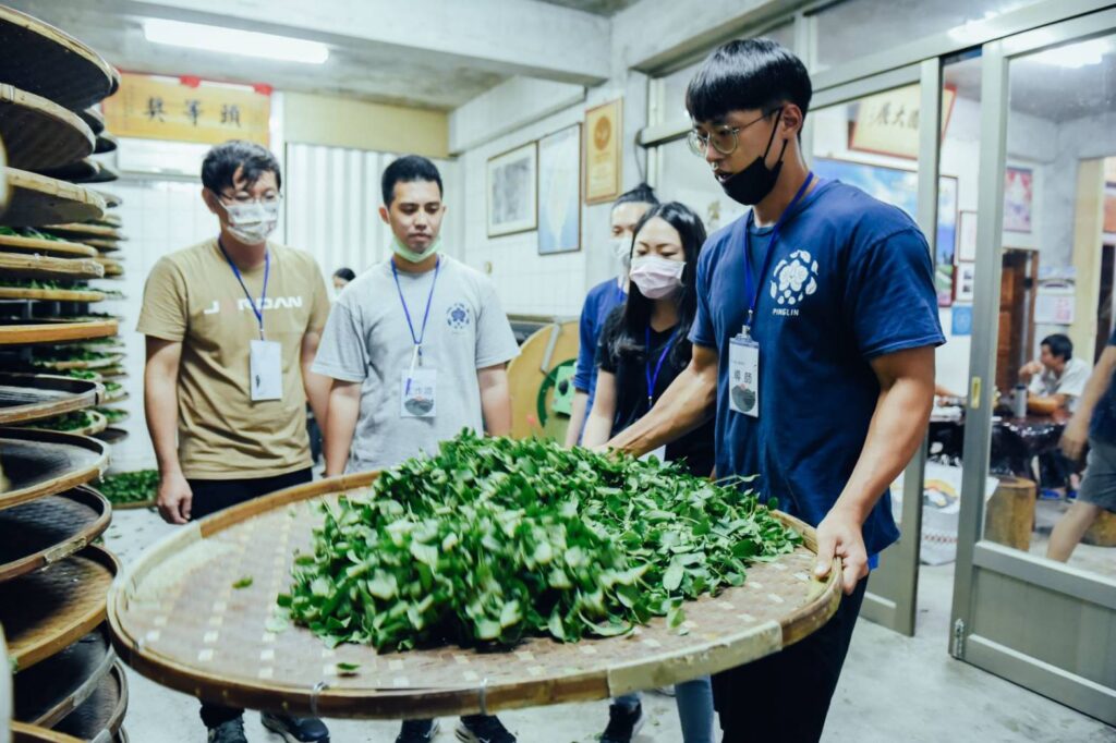 ▲坪林青農在製茶與推廣茶文化過程中受到業界肯定。(圖/新北市農業局 提供)