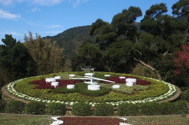 陽明公園花鐘的美麗景致。（臺北市公園處提供）