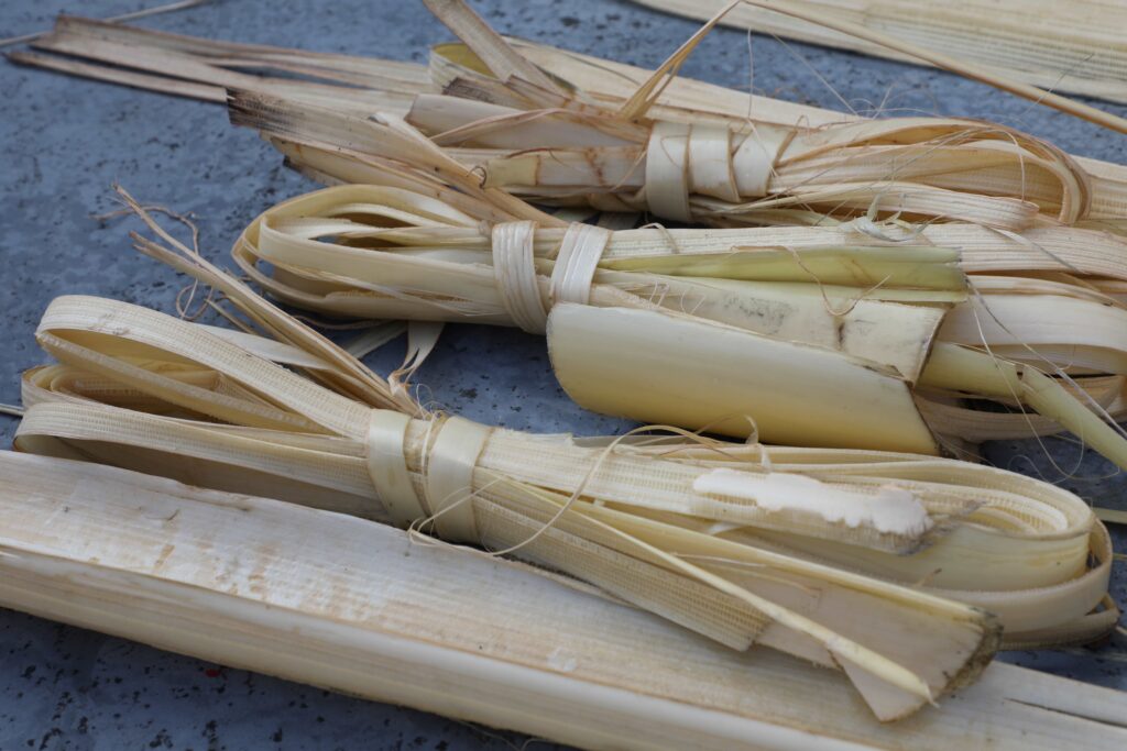芭蕉絲纖維可用來捻線織布，其次用於造紙材料，可為造紙工藝提供更多元選擇。（圖/工藝中心提供）