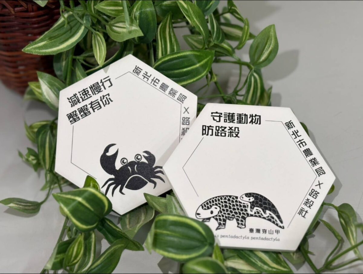 新北推防路殺   以動物角度拍攝紀錄片