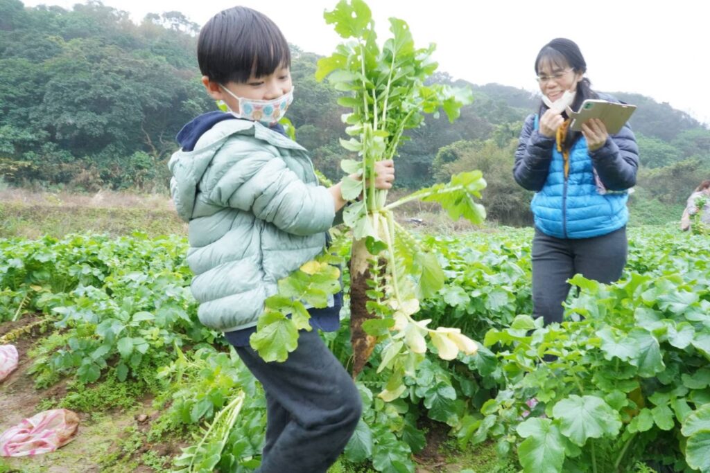 ▲新北青農推食農體驗,連孩童們都顯得興致高昂。(圖/新北市農業局 提供)