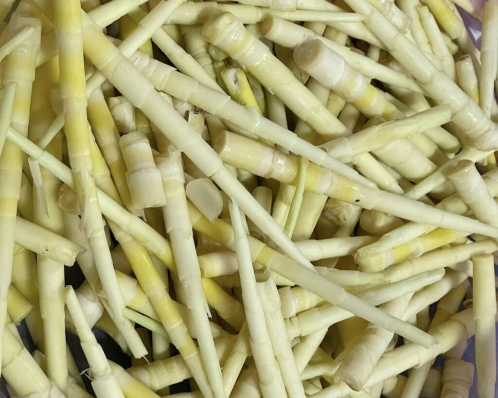 ▲新北市盛產的箭竹筍。（圖/新北市農業局 提供）
