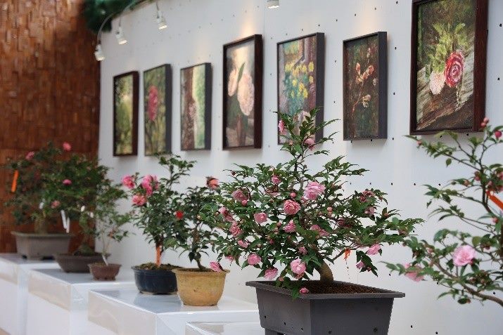 台北茶花展1/10於陽明山花卉試驗中心展出。（圖/臺北市政府公園處提供）