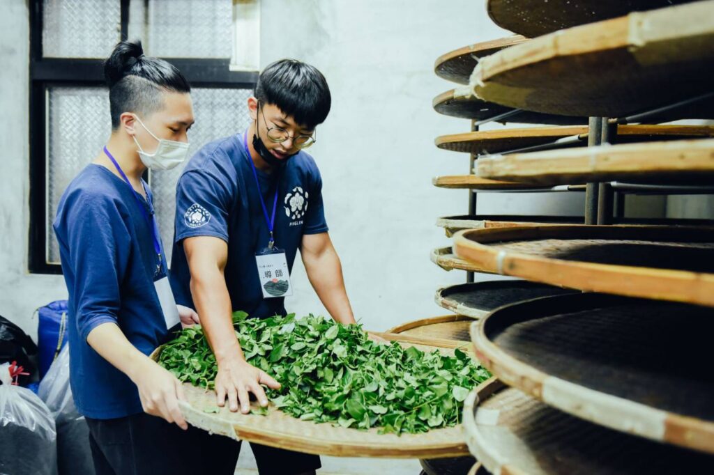 ▲坪林茶農行銷優質茶葉在海內外市場,傳承茶鄉文化有目共睹。(圖/新北市農業局 提供)