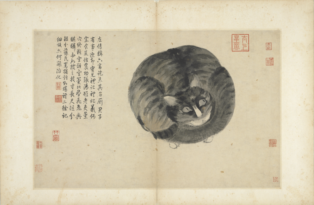 「國寶聚焦」展出-明 沈周《寫生冊》貓。（圖/故宮提供）