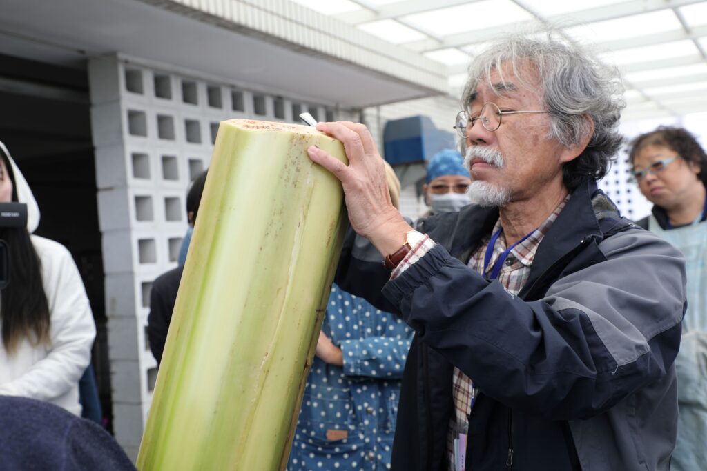 福島老師以沖繩及臺灣的芭蕉進行示範，分析比較臺日纖維材料的差異性，讓學員深入理解不同地域的芭蕉纖維取纖方式。（圖/工藝中心提供）