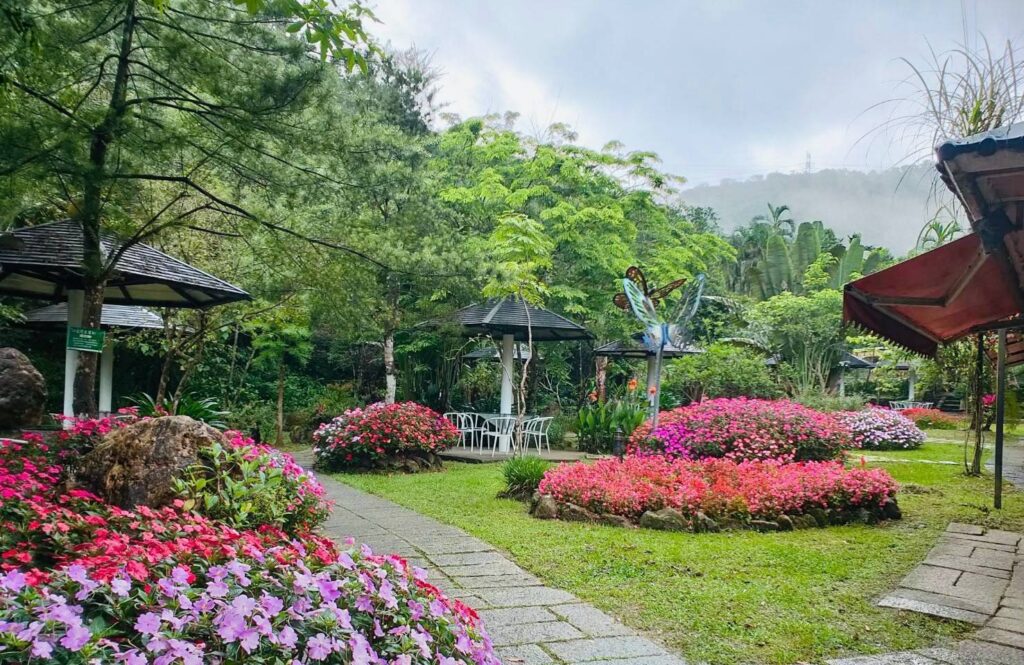 ▲雙溪公園適合全家大小走春旅遊。(圖/新北市農業局 提供)