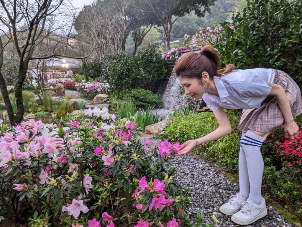 ▲萬金杜鵑競走比賽受歡迎，許多民眾到萬里賞花。（圖/新北市農業局 提供）