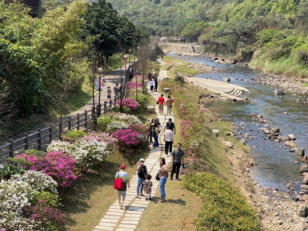 ▲萬金杜鵑開放，遊客踴躍前往賞花。（圖/新北市農業局 提供）