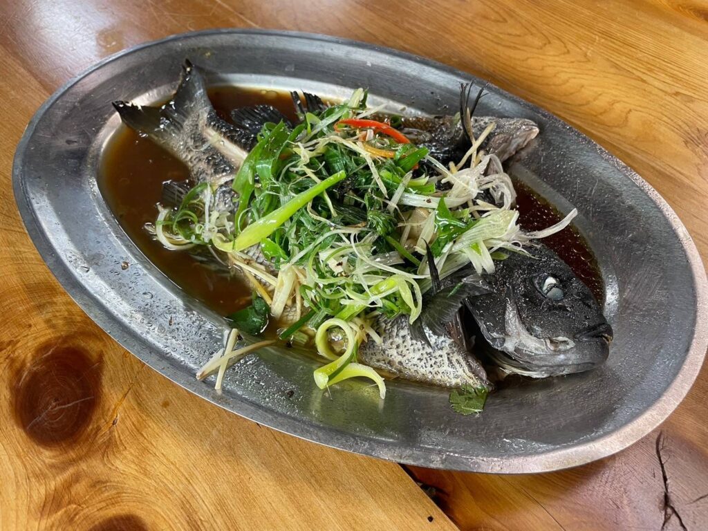 ▲黑毛清蒸料理是老饕的最愛。(圖/新北市漁業處 提供)