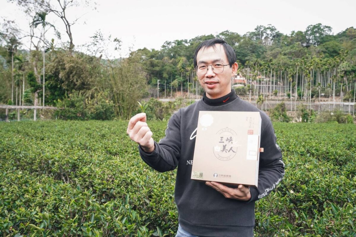 豐富果香   新北三峽推新興茶品臺灣橙茶