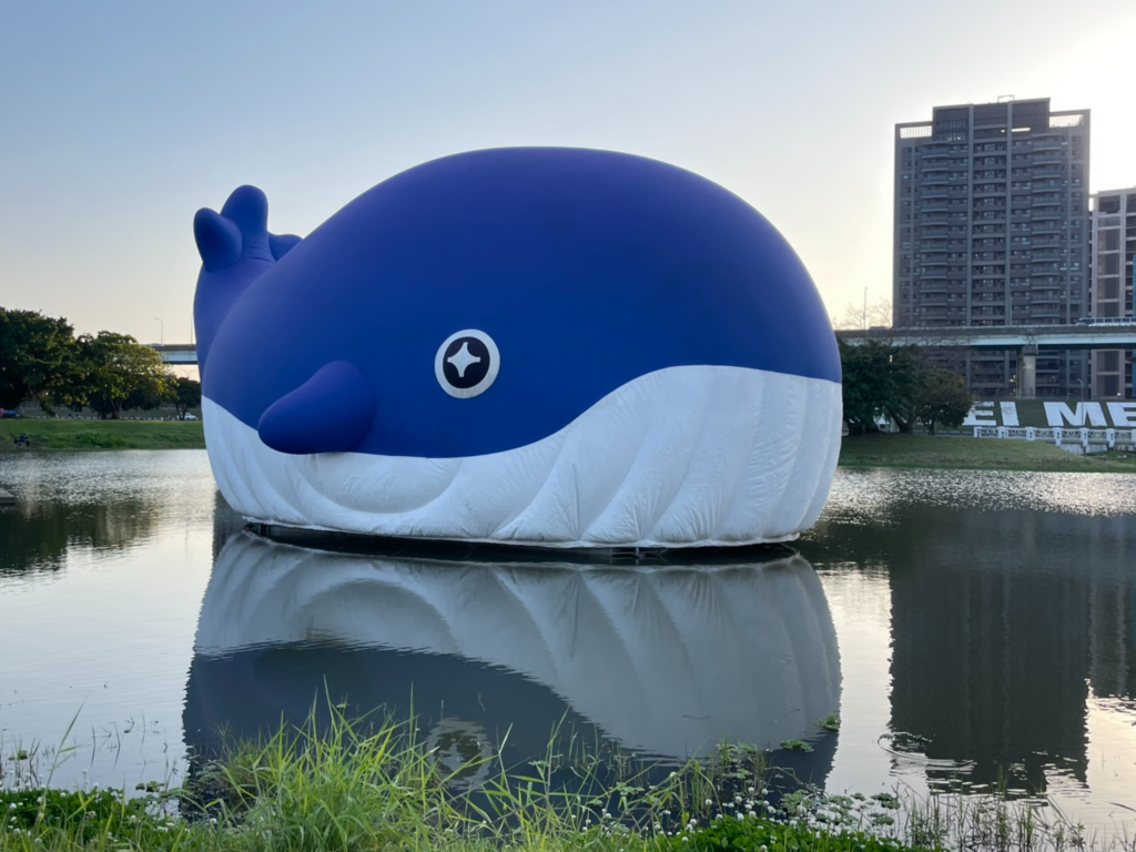 ▲粉嘻鯨超萌現身新北大都會公園。（圖/新北市觀旅局 提供）
