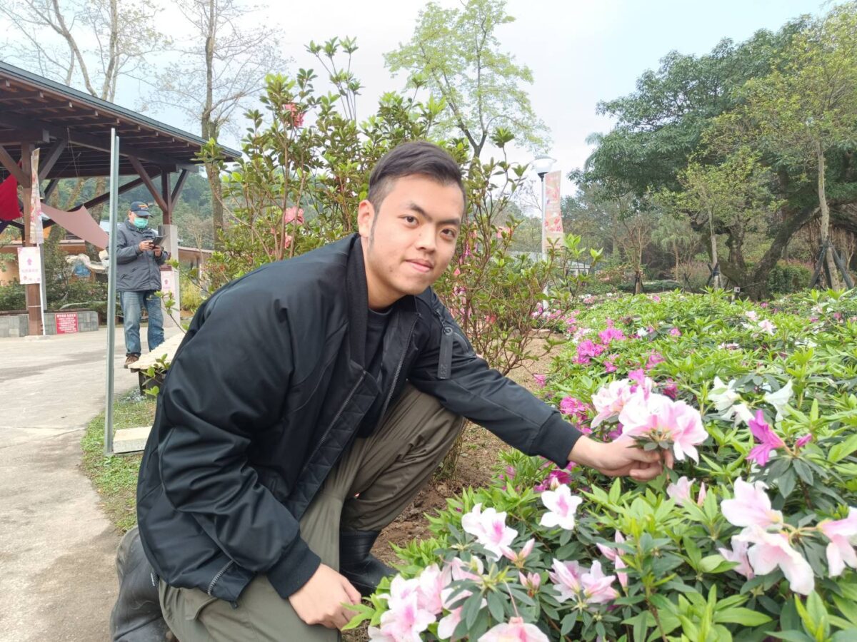 金山青農跨界合作藝術家  杜鵑結合家具呈現萬金杜鵑之美