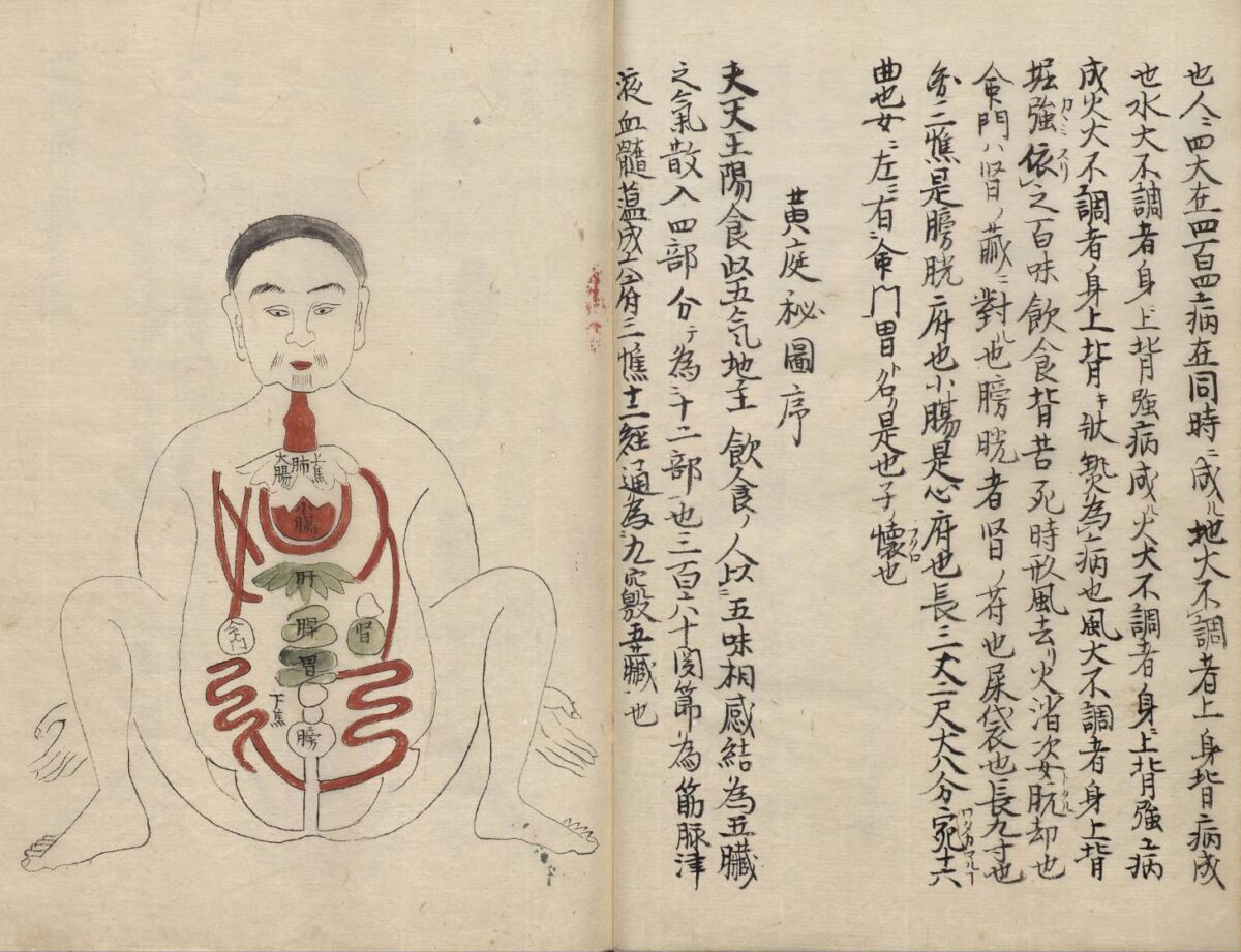 身體展演  從歷史圖像看身體之謎  故宮推出特展  呈現身體多重深意
