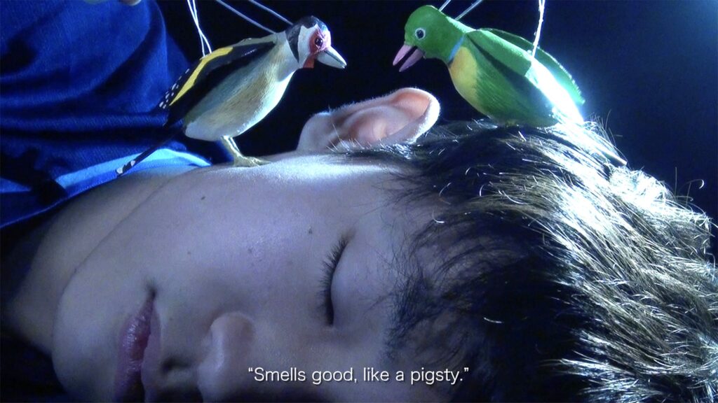 高田冬彦，《The Princess and the Magic Birds》，2020-2021，單頻道有聲錄像，17 分52 秒。圖像由藝術家提供。