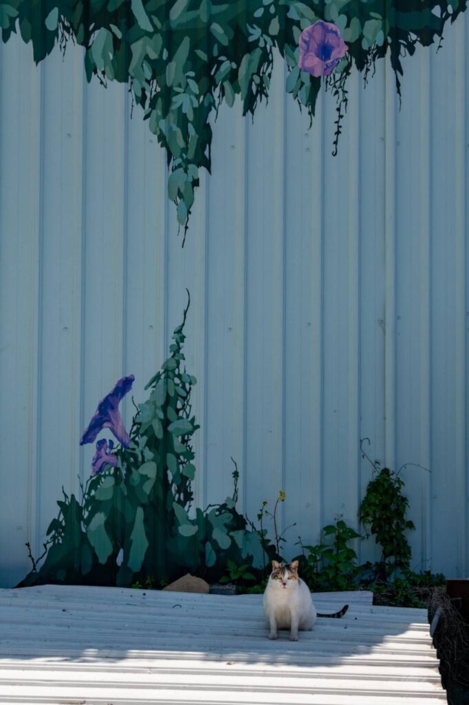 ▲在建物外觀的彩繪當中,植物與家貓的互動,對應出花園生活美學的文化新貌,在環境意象中更顯生機盎然。(圖/吳欣穎 提供)