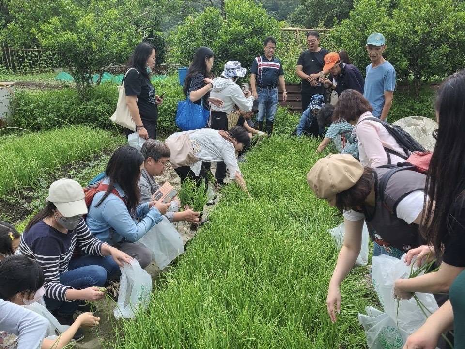 ▲拔珠蔥活動趣味無窮，民眾報名參與熱烈。（圖/新北市農業局 提供）
