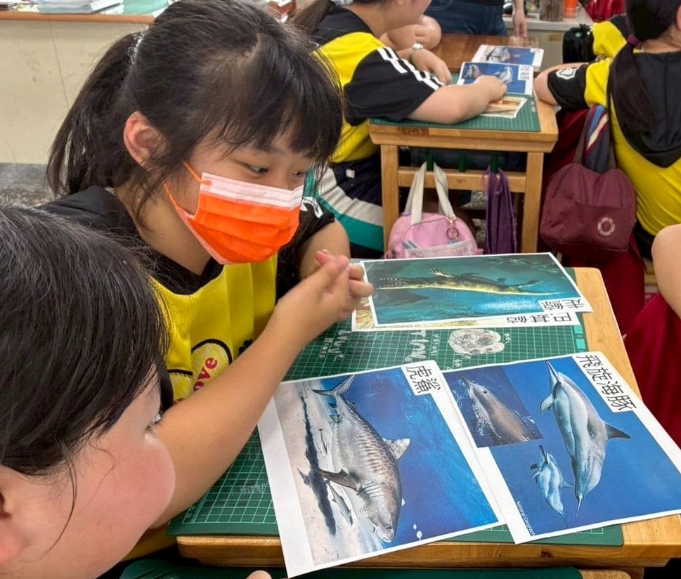 透過活動引導學生認識鯨鯊與現今海洋生態危機。 (圖/文化局提供)