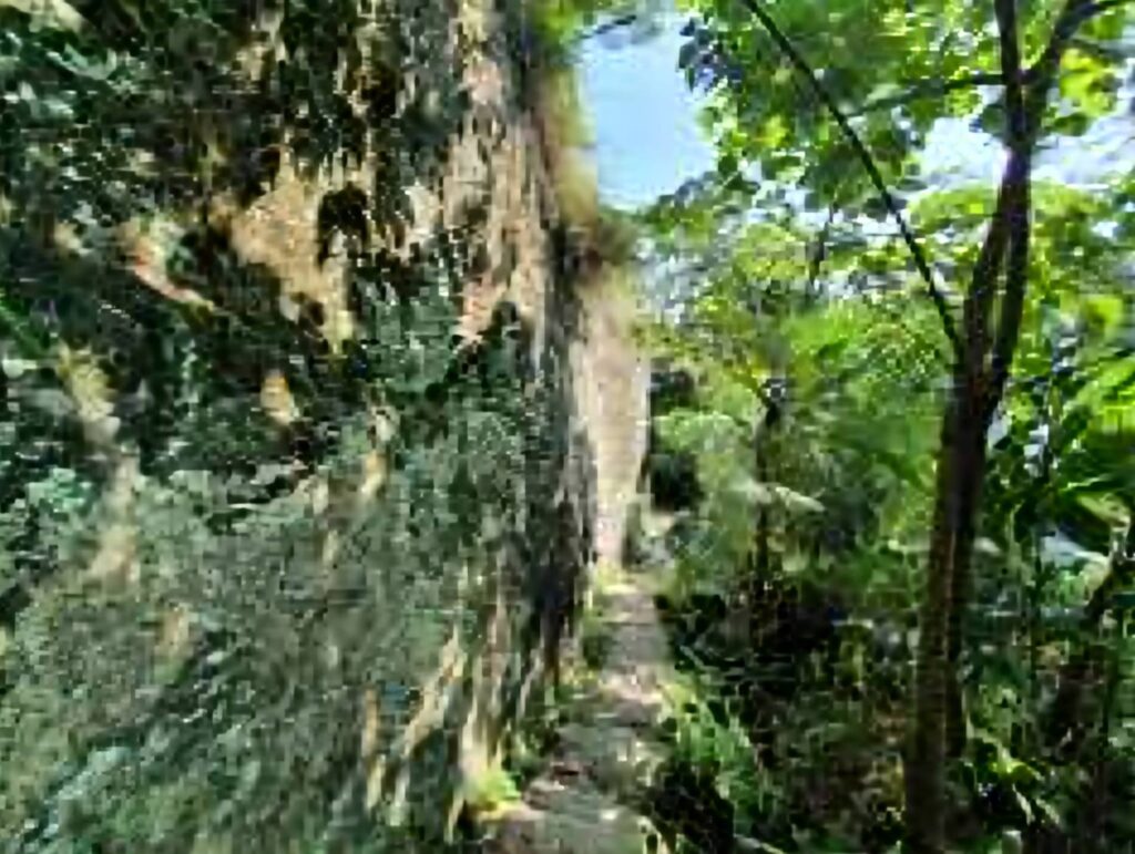 ▲獅頭山步道綠意盎然，林蔭遮蔽，漫步其中清新舒適。（圖/新北市觀旅局 提供）