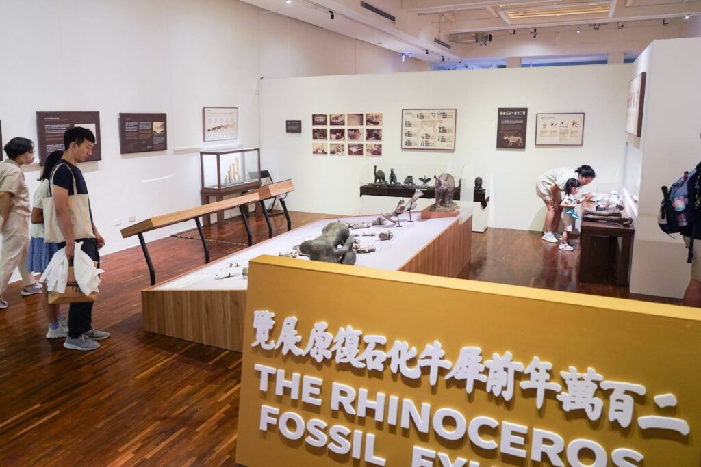 ▲臺博館展出200萬年前犀牛化石復原展。（圖/臺博館 提供）