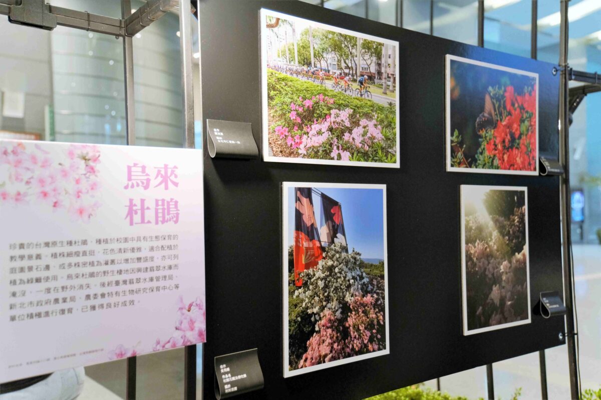 2025萬金杜鵑攝影展   6月4日新北開展
