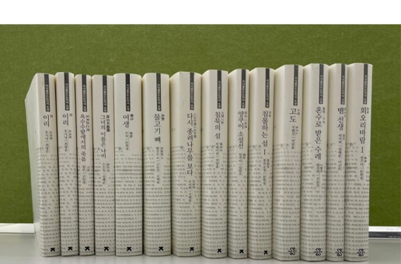 臺文館將展出韓譯出版品28本，包括詩、小說、評論等數十位作家作品。（圖/臺文館提供）