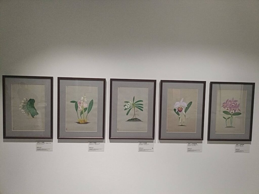 ▲史博館展出中的珍貴展品。（記者 辛澎祥/攝）