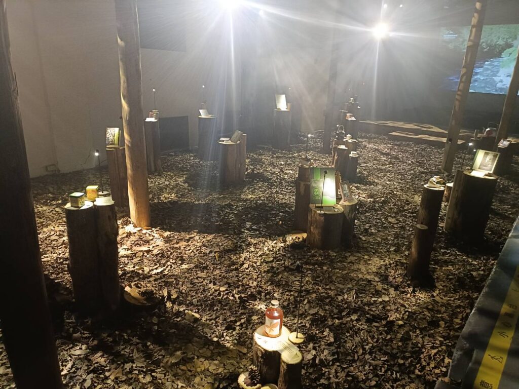 ▲穿霧之境的環境,如同置身於高山霧林之中,聞著森林氣息的同時,更能感受水成形之前的山林之美。(記者 辛澎祥/攝)