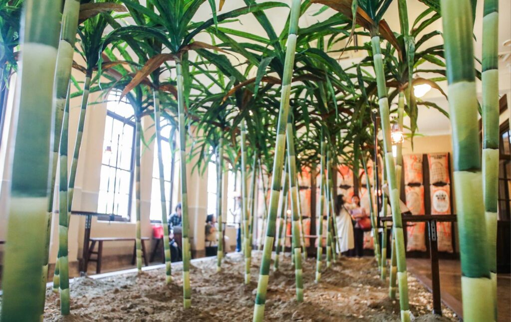 ▲室內植栽綠化格外引起觀者的注意。（圖/台北市文化局 提供）