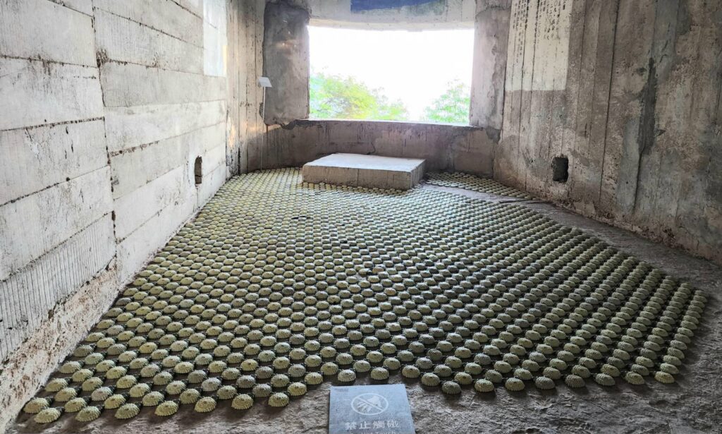 ▲在77據點所表達並由林銓居所創作的「菊花五千朵」,藉由菊花超越時代的苦難,療癒傷痛,作品的隱喻性受到正面肯定。(記者 詹佳綺/攝)