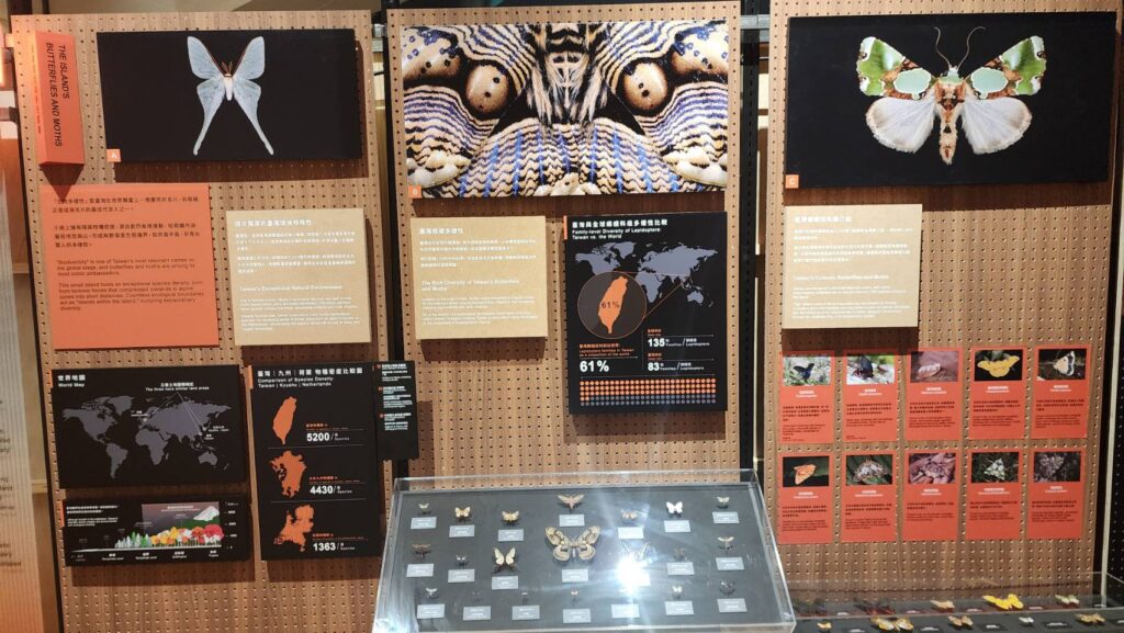▲特展所展出與蝴蝶有關的生態內容與文獻。（記者 辛澎祥/攝）