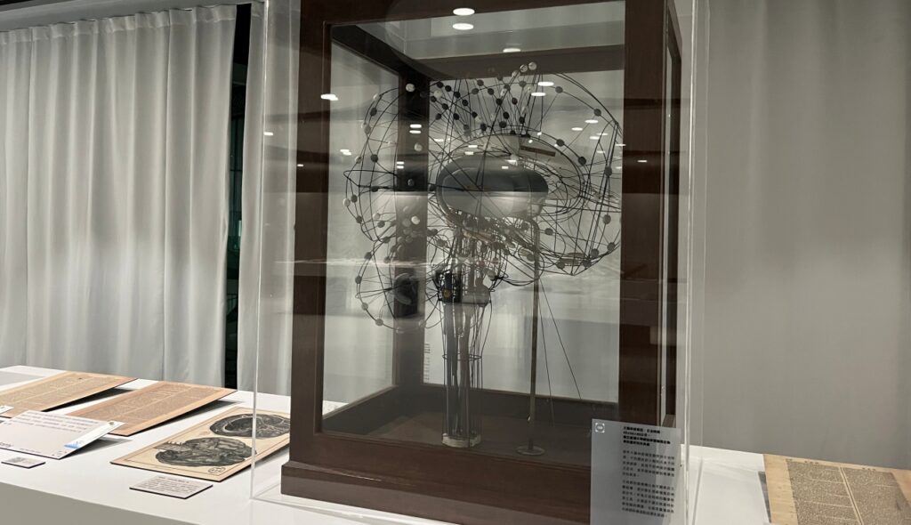 中市圖「世界的索引」，展出臺灣大學醫學院「大腦神經模型」。（圖/文化局提供）