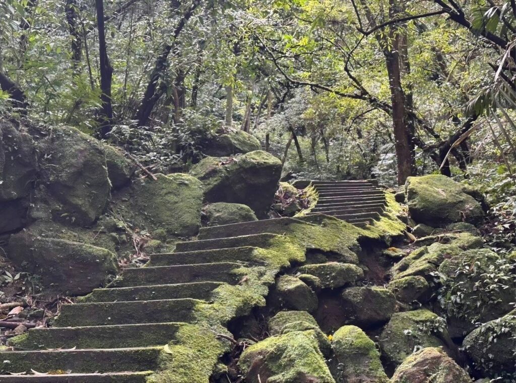 ▲走進孝子山步道,感受被層層綠意環繞的山林風景。(圖/新北市觀光旅遊局 提供)