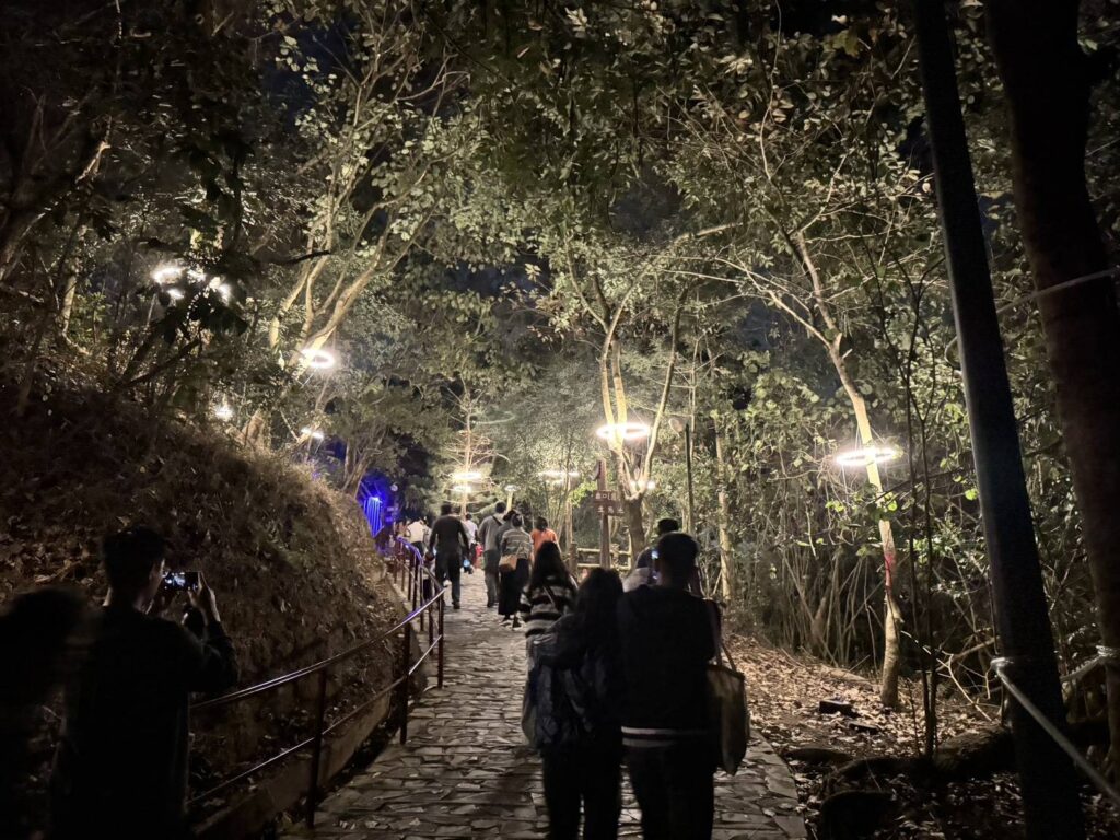 ▲山林不僅是作品的背景，而是主動發聲的展演場域。（圖/臺南市政府文化局 提供）