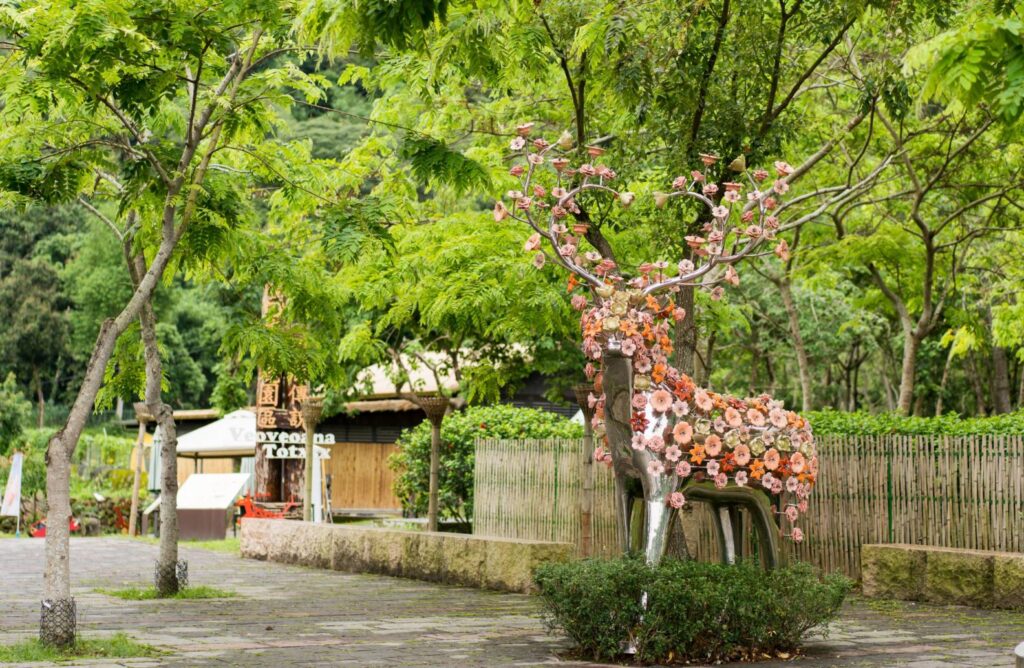 ▲嘉義深度旅遊推升新的身心體驗。（圖/觀光署 提供）