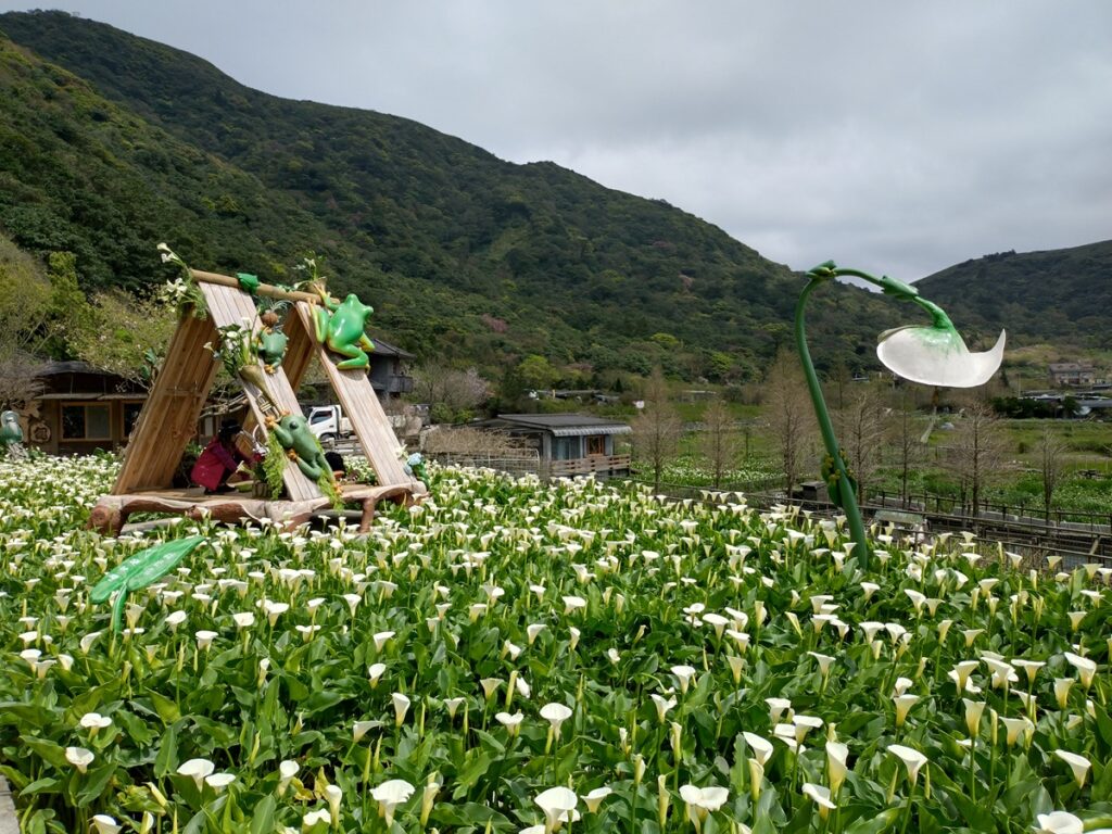 漫步花田、拍照打卡，賞花行程愜意又好玩。（圖/台北市產發局提供）