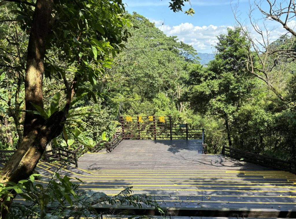 ▲在土城桐花公園的山林舞台上,讓音樂與風聲交織,展開一場近山的感官饗宴。(圖/新北市觀光旅遊局 提供)
