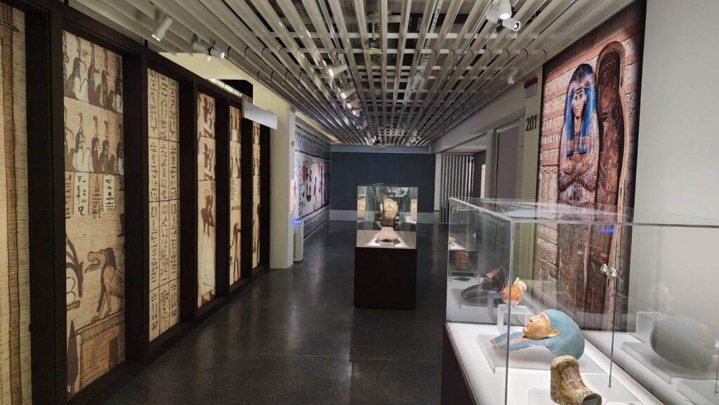 ▲在史博館即日展出的「埃及木乃伊-永生傳說」特展，將呈現出不同的解構面向，意義重大。（記者 辛澎祥/攝）