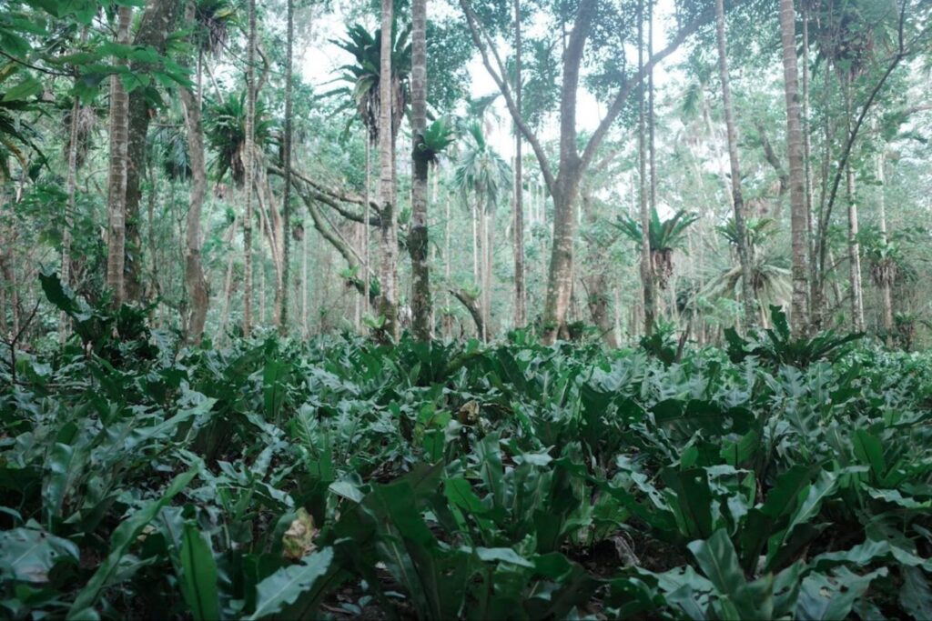 ▲原力青聚點養成山海實戰力，讓部落呈現新的面貌，成為關注焦點。（圖/教育部 提供）
