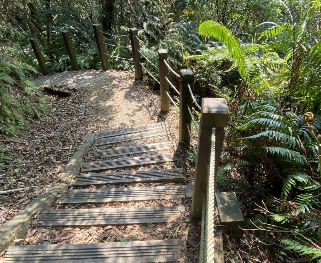▲登頂一等三角點,9.5土庫岳古道實務教學,解鎖離線地圖定位技巧。(圖/新北市觀旅局 提供)